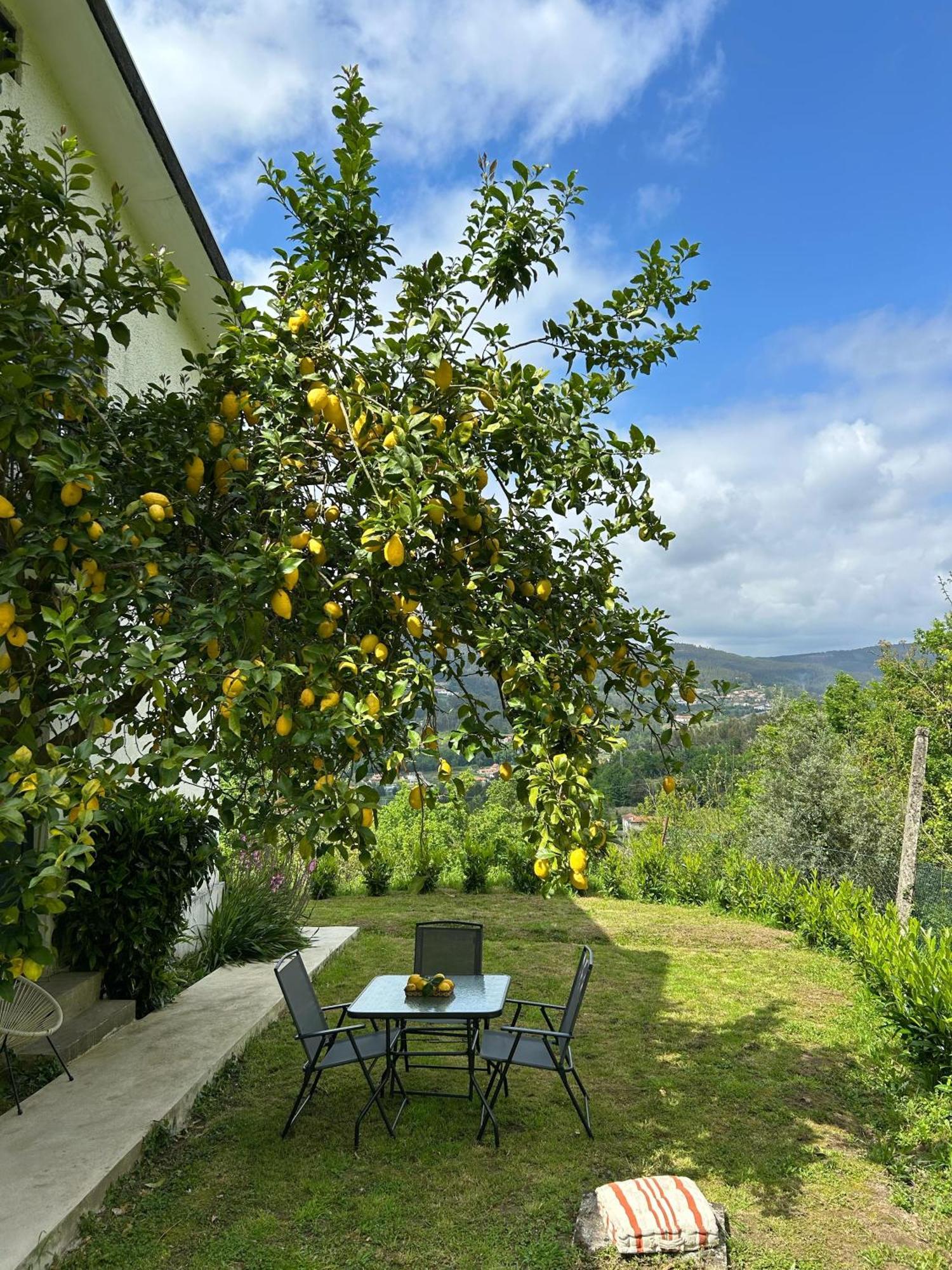 Casa De Fraguas Villa Arouca Exterior photo